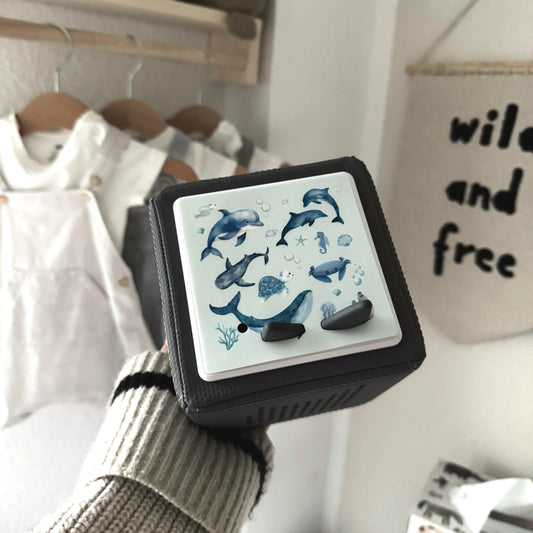 Toniebox Schutzfolie personalisiert Meerestiere Hauniper