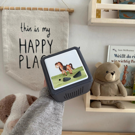Toniebox Schutzfolie personalisiert Hauniper