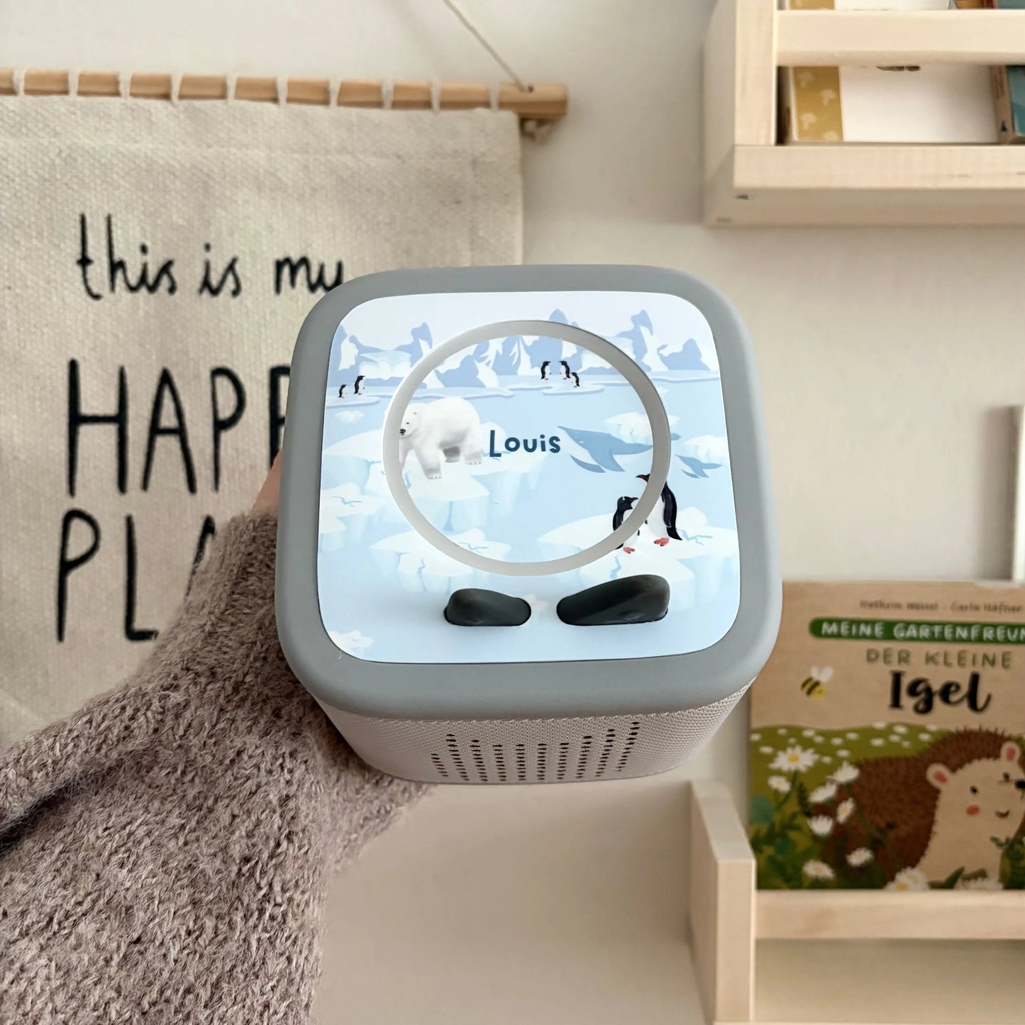 Toniebox 2 Schutzfolie personalisiert Eiswelt Hauniper