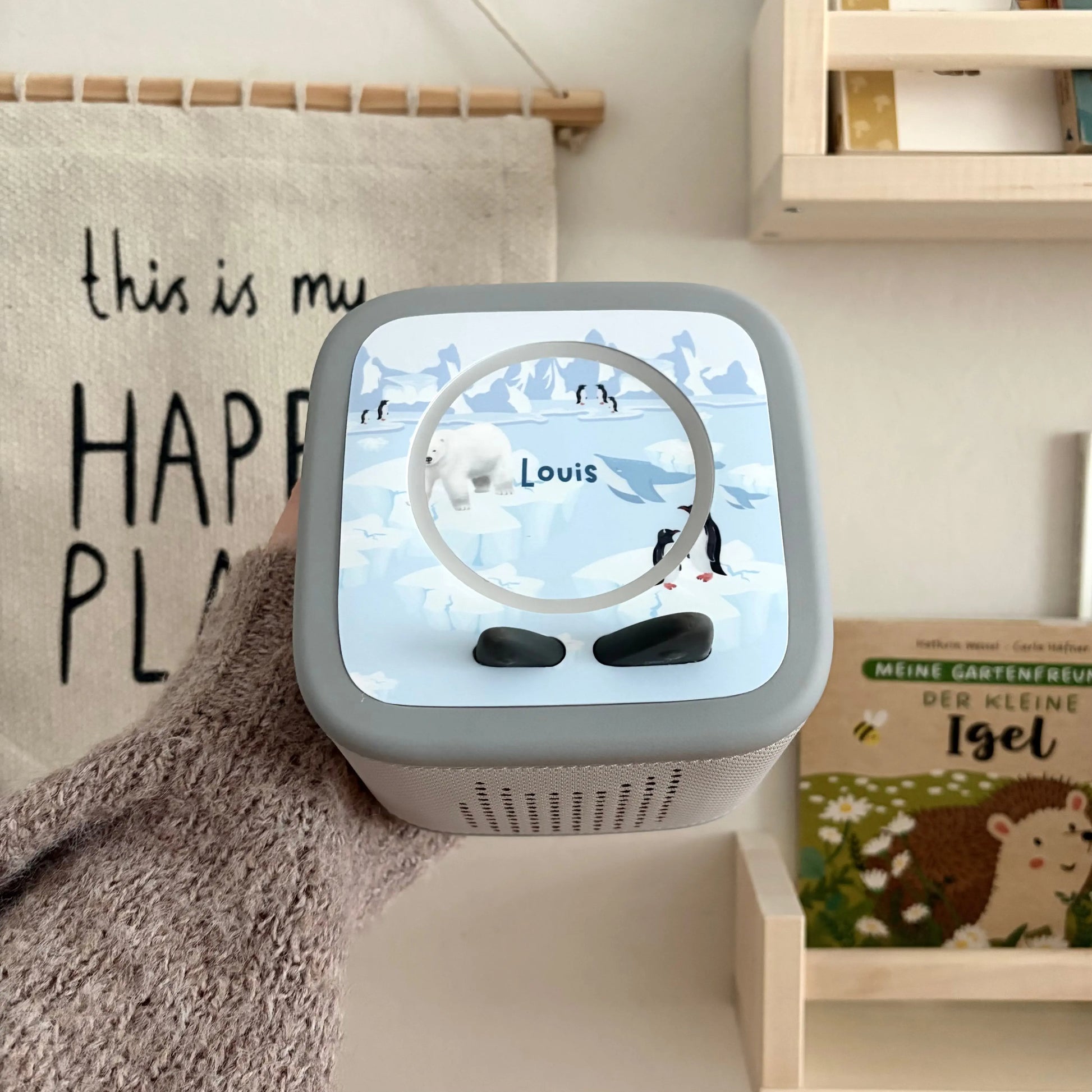 Toniebox 2 Schutzfolie personalisiert Eiswelt Hauniper