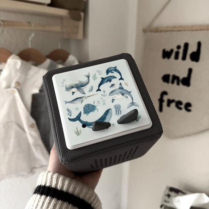 Toniebox Schutzfolie personalisiert Meerestiere Hauniper